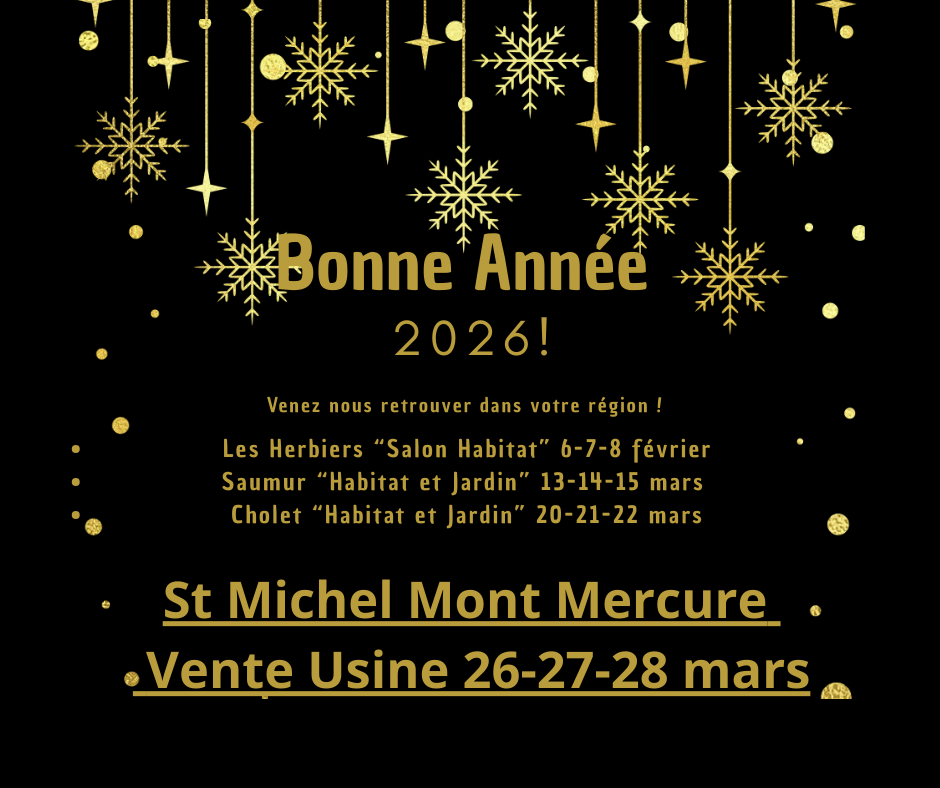 Bonne Année 2026