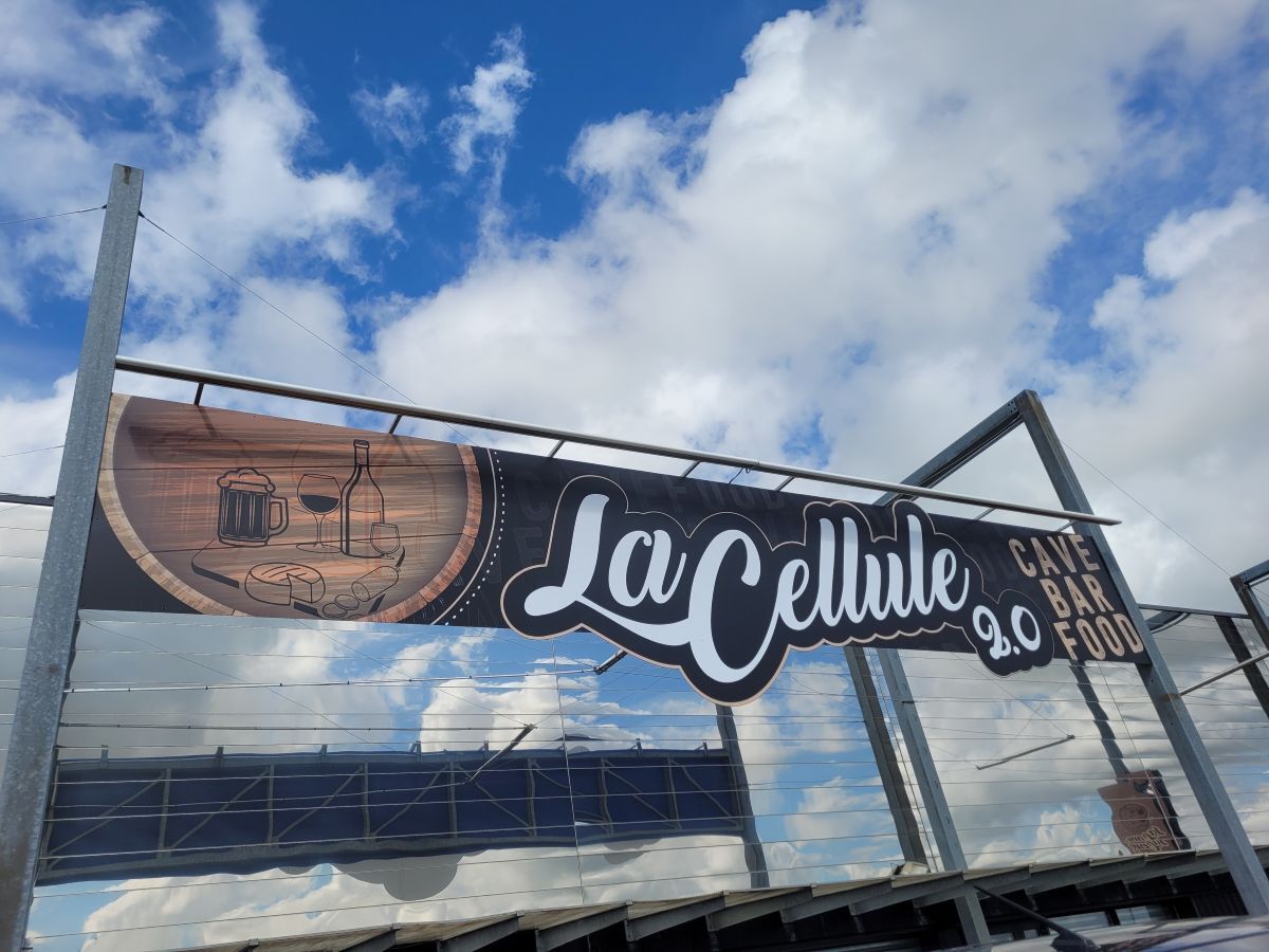 LA CELLULE ACTUALITE 2