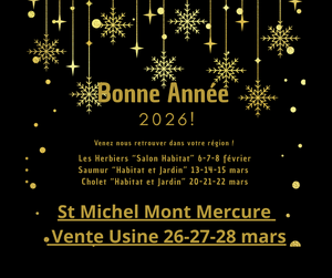 Bonne Année 2026